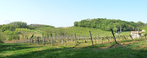 route_vins_image1