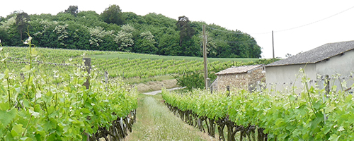 route_vins_image3